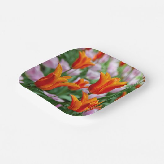 Hellorangefarbene Tulpen im Parkpapier-Teller Pappteller (Gewinkelt)