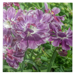 Hellpurpurne Blumen-Keramikfliese Fliese