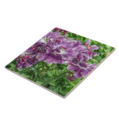 Hellpurpurne Blumen-Keramikfliese Fliese (Seite)
