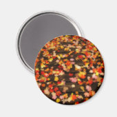 Hellrosa Blätter Magnet (Vorderseite/Rückseite)