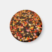 Hellrosa Blätter Magnet (Vorne)