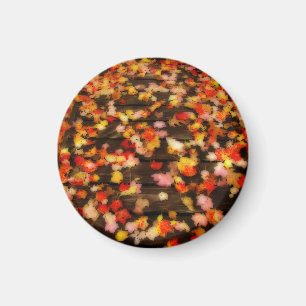 Hellrosa Blätter Magnet