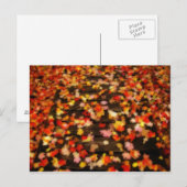 Hellrosa Blätter Postkarte (Vorne/Hinten)