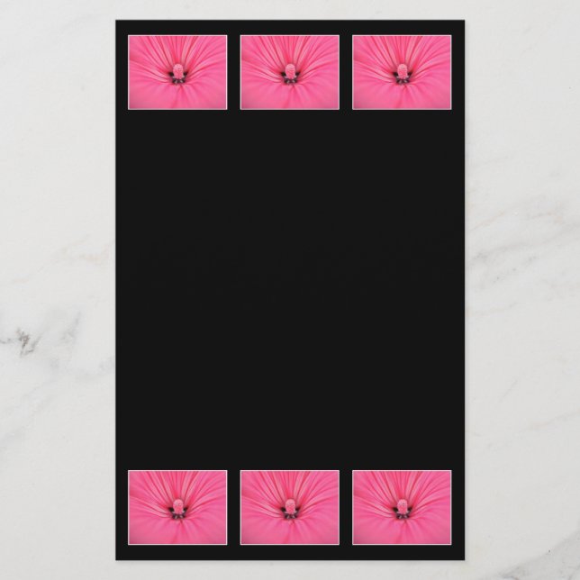 Hellrosa Blume. (Vorderseite)