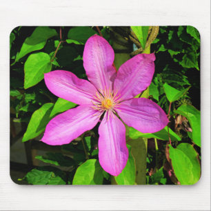 Hellrosa Blume Blühen und grüner Hintergrund Mousepad