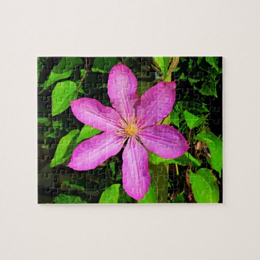 Hellrosa Blume Blühen und grüner Hintergrund Puzzle (Horizontal)