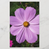 hellrosa Blume Briefpapier (Vorderseite)