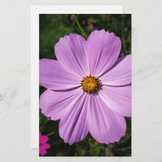 hellrosa Blume Briefpapier (Vorne/Hinten)