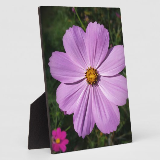 hellrosa Blume Fotoplatte (Seite)