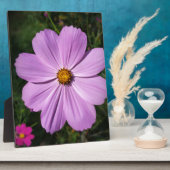 hellrosa Blume Fotoplatte (Seite)