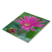 Hellrosa Blume Keramik Fliese (Seite)