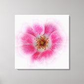 hellrosa Blume Leinwanddruck (Vorderseite)