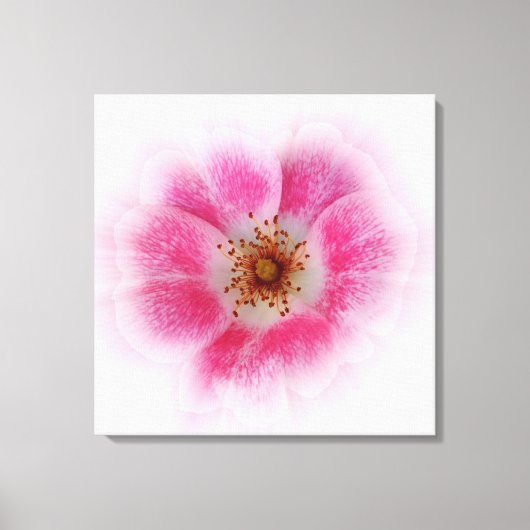 hellrosa Blume Leinwanddruck (Vorderseite)