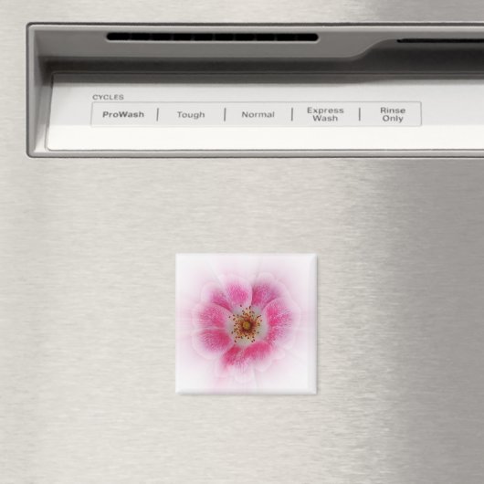 hellrosa Blume Magnet (In Situ (Geschirrspüler))