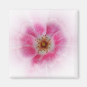 hellrosa Blume Magnet (Vorne)