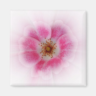 hellrosa Blume Magnet