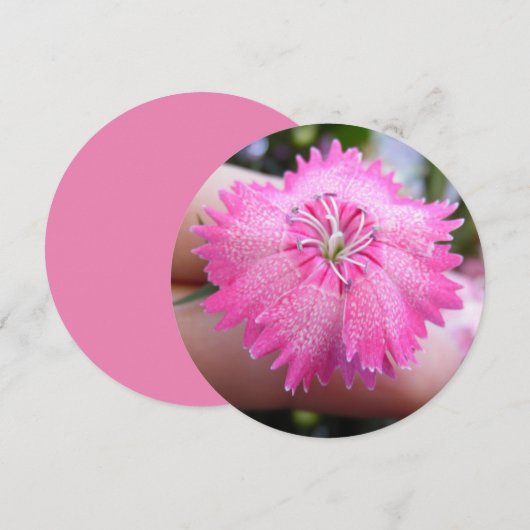 Hellrosa Blume mit Flecken Einladung (Vorne/Hinten)