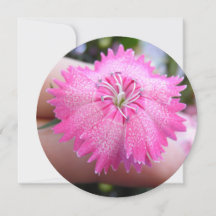 Hellrosa Blume mit Flecken