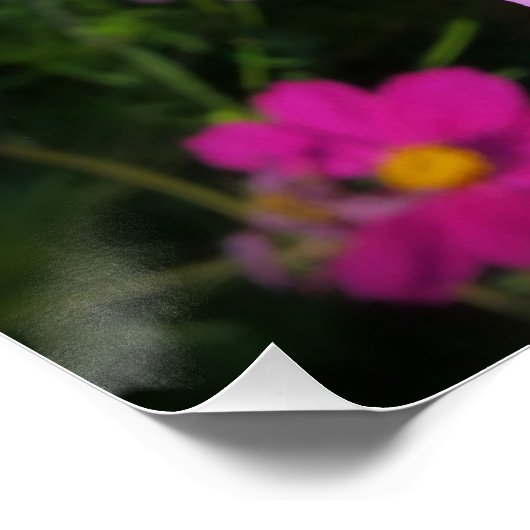 hellrosa Blume Poster (Ecke)