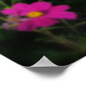 hellrosa Blume Poster (Ecke)