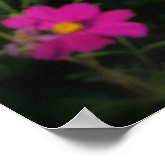 hellrosa Blume Poster (Ecke)