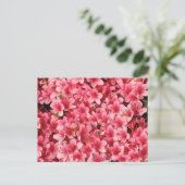 Hellrosa Blume Postkarte (Stehend Vorderseite)