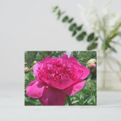 Hellrosa Blume Postkarte (Stehend Vorderseite)