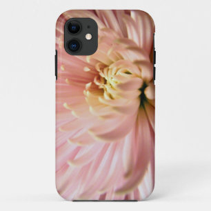 hellrosa Chrysanthemenblüte iPhone 11 Hülle