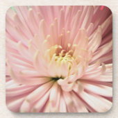 hellrosa Chrysanthemenblüte Untersetzer (Vorderseite)