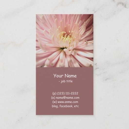hellrosa Chrysanthemenblüte Visitenkarte (Vorderseite)