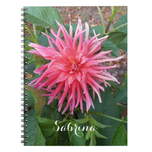 Hellrosa Dahlia Blume. Notizblock (Vorderseite)