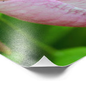 Hellrosa Dame Slipper Orchideen Blume Nah 8x8 Fotodruck (Ecke)