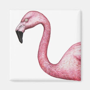 Hellrosa Flamingo Illustration Magnet