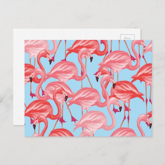 Hellrosa Flamingos auf Blau 2 Postkarte (Vorne/Hinten)