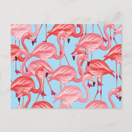 Hellrosa Flamingos auf Blau 2 Postkarte (Vorderseite)