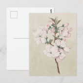 Hellrosa Floral Postkarte (Vorne/Hinten)