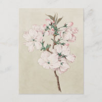 Hellrosa Floral