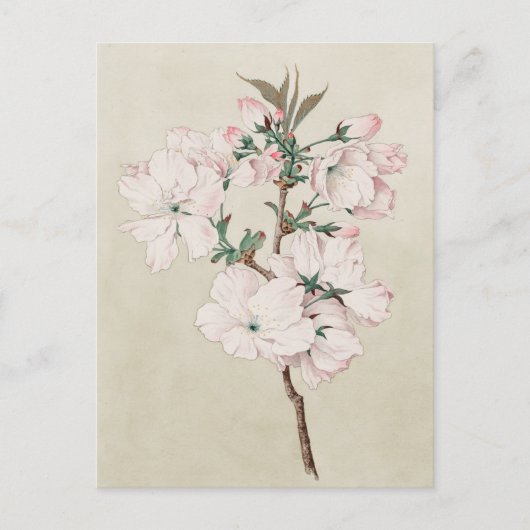 Hellrosa Floral Postkarte (Vorderseite)