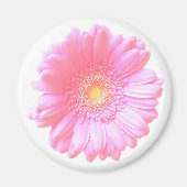 Hellrosa Gänseblümchen Magnet (Vorne)