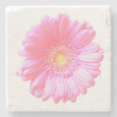 Hellrosa Gänseblümchen Steinuntersetzer (Vorderseite)