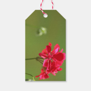 Hellrosa Geranium Floral Editable Geschenk Tag Geschenkanhänger