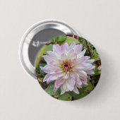 Hellrosa gespitzte Dahlie Button (Vorne & Hinten)