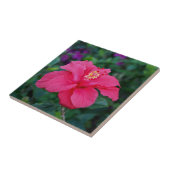 Hellrosa Hibiskus Foto Fliese (Seite)