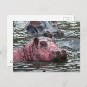 Hellrosa Hippo Postkarte (Vorne/Hinten)