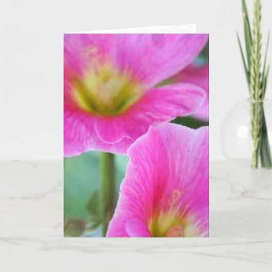 Hellrosa Hollyhock-Karte Karte (Vorderseite)