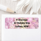 Hellrosa Hydrangea Rücksendeadresse (Insitu)