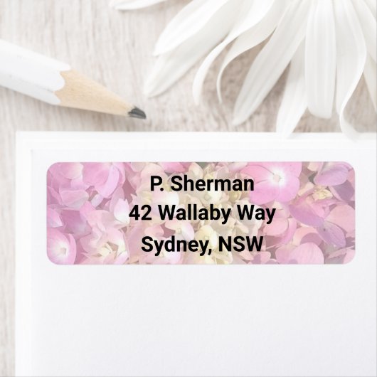 Hellrosa Hydrangea Rücksendeadresse (Insitu)