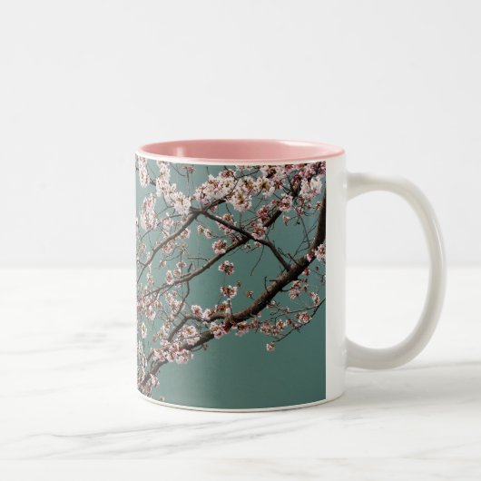 Hellrosa Kirschblüten auf turquois Hintergrund Zweifarbige Tasse (Rechts)
