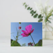 Hellrosa Kosmetik, Blue Sky DIY Postcard Postkarte (Stehend Vorderseite)
