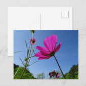 Hellrosa Kosmetik, Blue Sky DIY Postcard Postkarte (Vorne/Hinten)